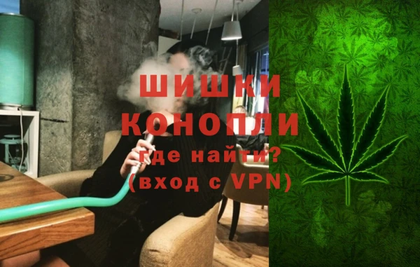 гидропоника Алзамай