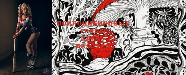 синтетический гашиш Алексеевка