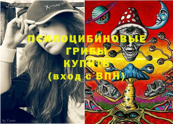 гидропоника Алзамай