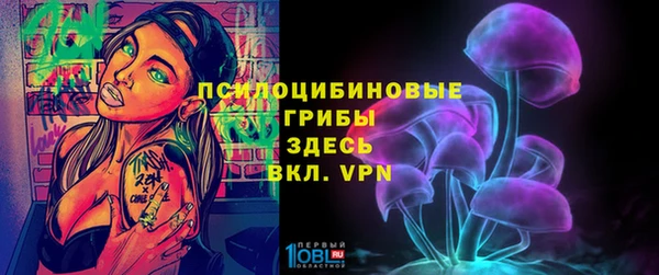 гидропоника Алзамай