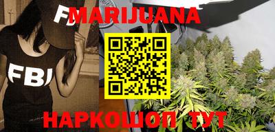 прущие грибы Можга