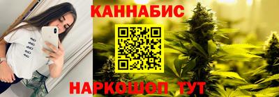 прущие грибы Можга